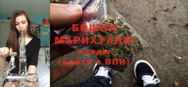 PSILOCYBIN Новочеркасск