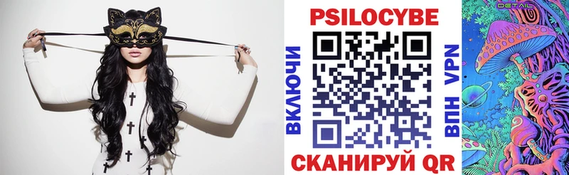 Галлюциногенные грибы Psilocybe Апатиты