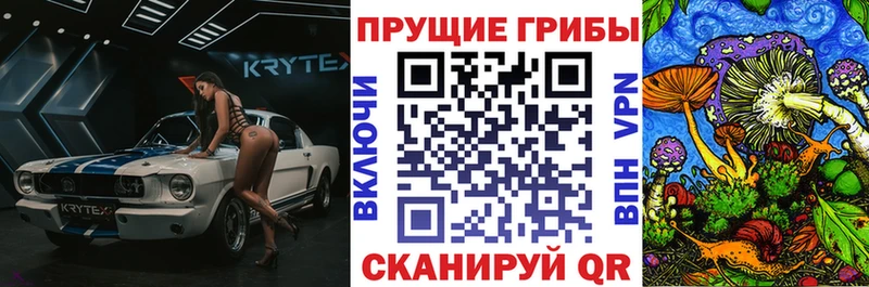 Купить  Апатиты  Галлюциногенные грибы Psilocybe 